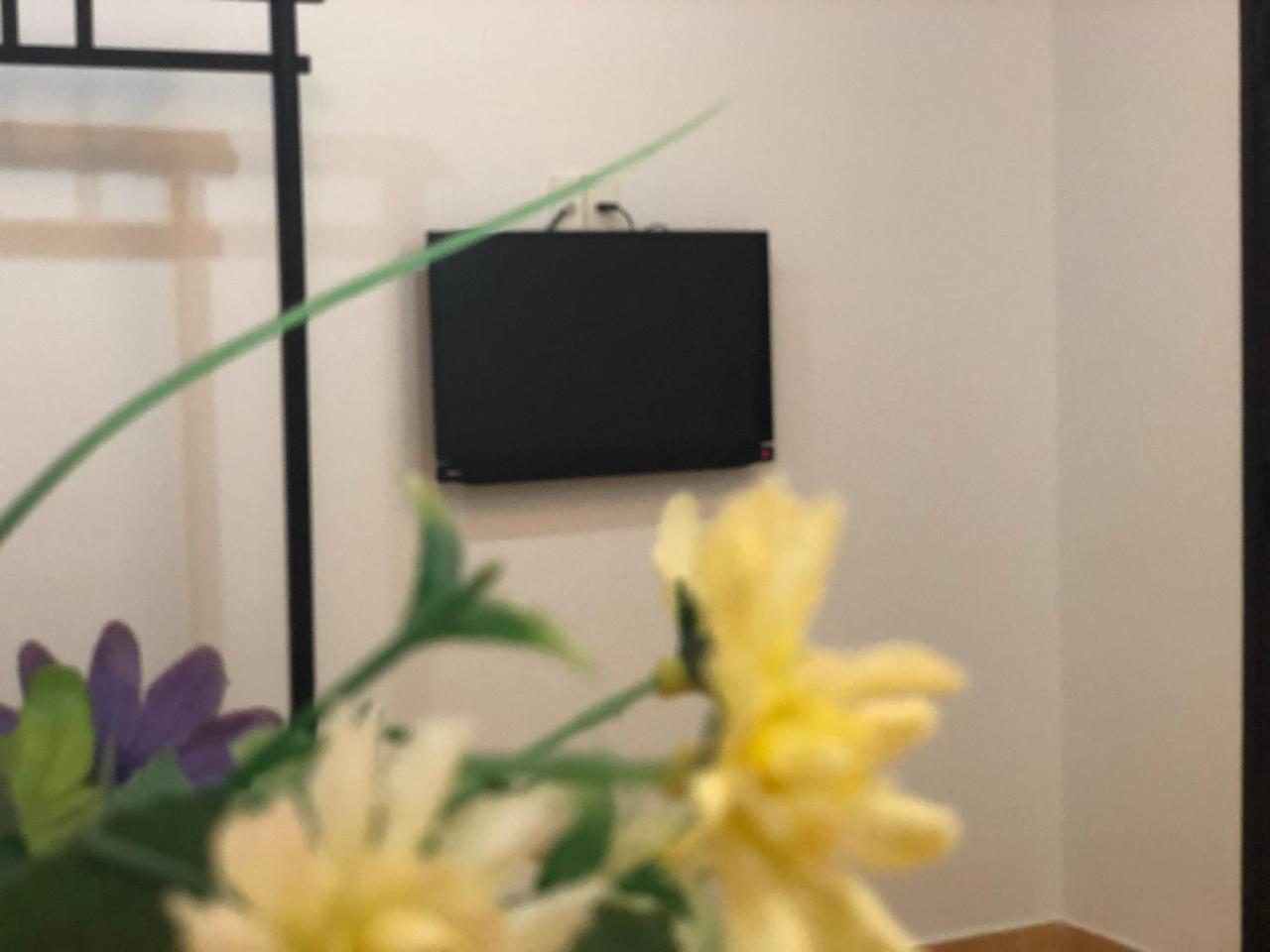Sea Sun Homestay Хой Ан Екстериор снимка
